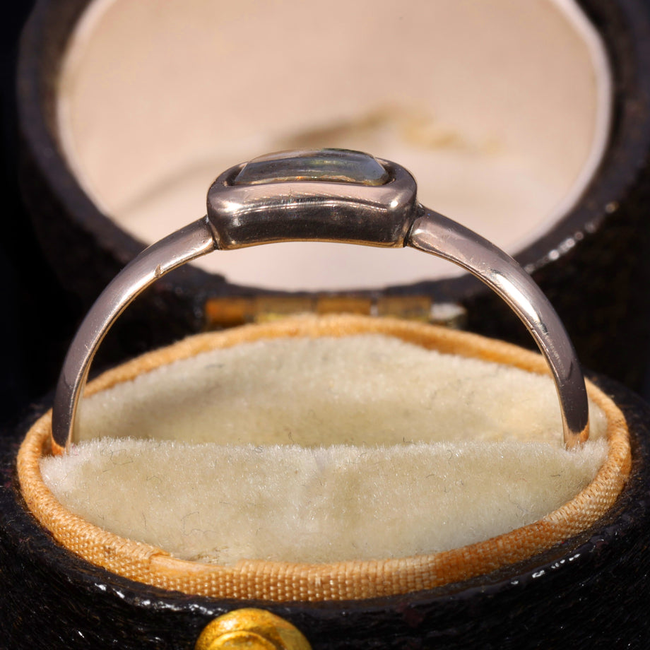 The Antique Georgian Hairwork Mourning Ring