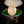 Load image into Gallery viewer, The Antique Georgian 1777 Pearl and Hairwork Mourning Ring
