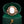 Load image into Gallery viewer, The Antique Victorian Pearl and Shell Cameo Ring
