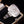 Load image into Gallery viewer, The Antique Georgian 18th Century &#39;Know Thyself&#39; Memento Mori Ring
